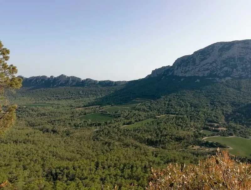 Vue paysagère sur le Pic Saint-Loup depuis Saint-Martin-de-Londres